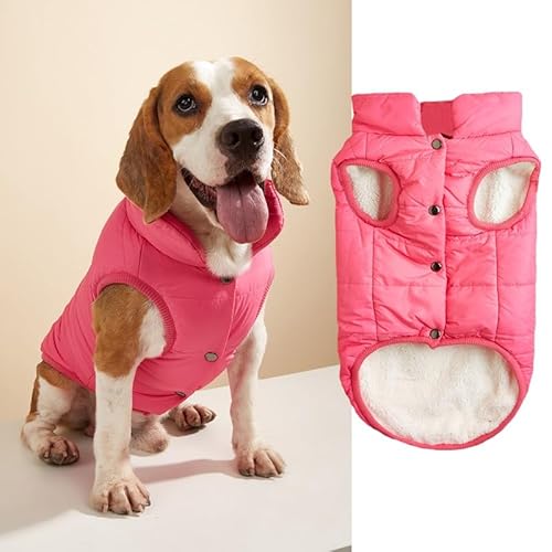 Nvzi -b Winddichte Hunde-Winterjacke, Hundemantel, warme Hundeweste, kaltes Wetter, Haustierbekleidung mit 2 Schichten Fleece gefüttert für kleine, mittelgroße und große Hunde (Größe L, Rose) von Nvzi
