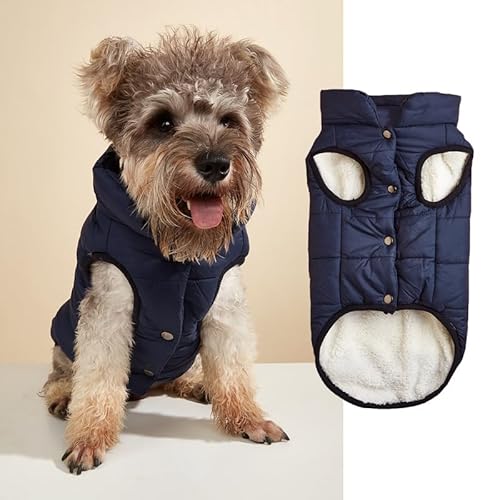 Nvzi -b Winddichte Hunde-Winterjacke, Hundemantel, warme Hundeweste, kaltes Wetter, Haustierbekleidung mit 2 Schichten mit Fleece gefüttert für kleine, mittelgroße und große Hunde (Größe XL, Schwarz) von Nvzi
