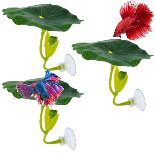 Nwsrayu Betta Fischbett, Blatthängematte für Betta-Fische, praktischer Ruheplatz, bequeme Ruhefläche für Fische, Aquarium-Dekoration, Ornamente (3 x Grün) von Nwsrayu