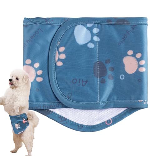 Nybhyjka Hundewindeln | Waschbare Bauchbinde Für Rüden | Wasserfeste Wiederverwendbare Trainingshose Für Kleine Hunde Zur Stubenreinheit, Für Drinnen & Draußen Nybhyjka Hundewindeln | Waschbare Bauchbinde Für Rüden | Wasserfeste Wiederverwendbare Trainingshose Für Kleine Hunde Zur Stubenreinheit, Für Drinnen & Draußen von Nybhyjka