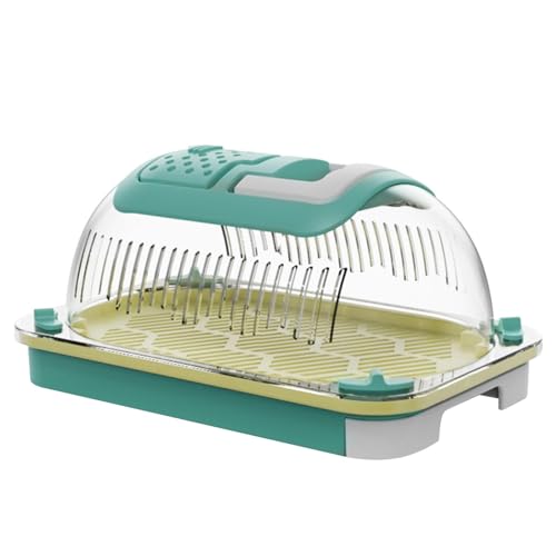 Nybhyjka Reptiliengehäuse, Clear Terrarium Box - Löschen tragbarer Reptilienzüchterboxen,Mehrzweck -Echsen -Terrarium, Gecko -Accessoires für Chamäleons, Baumfrösche von Nybhyjka