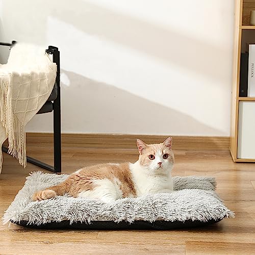 Nyescasa Hundebett Katzenbett Plüsch Hundekissen Katzenkissen Abnehmbar Waschbar Hundematte Flauschig Hundesofa Katzensofa rutschfest Hundematratze für Grosse Hunde Katzen Grau 100 * 70 * 10cm Nyescasa Hundebett Katzenbett Plüsch Hundekissen Katzenkissen Abnehmbar Waschbar Hundematte Flauschig Hundesofa Katzensofa rutschfest Hundematratze für Grosse Hunde Katzen Grau 100 * 70 * 10cm von Nyescasa