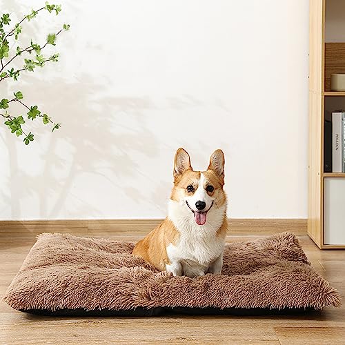 Nyescasa Hundebett Katzenbett Plüsch Hundekissen Katzenkissen Abnehmbar Waschbar Hundematte Flauschig Hundesofa Katzensofa rutschfest Hundematratze für Kleine Hunde Katzen Braun 50 * 35 * 6cm von Nyescasa