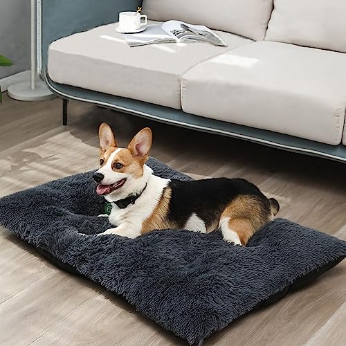 Nyescasa Hundebett Katzenbett Plüsch Hundekissen Katzenkissen Abnehmbar Waschbar Hundematte Flauschig Hundesofa Katzensofa rutschfest Hundematratze für Kleine Hunde Katzen Dunkelgrau 50 * 35 * 6cm von Nyescasa