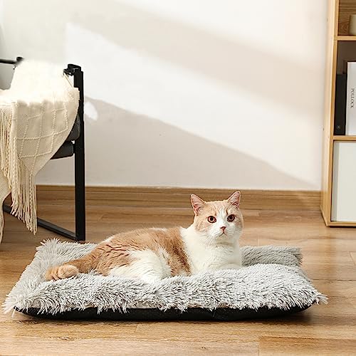 Nyescasa Hundebett Katzenbett Plüsch Hundekissen Katzenkissen Abnehmbar Waschbar Hundematte Flauschig Hundesofa Katzensofa rutschfest Hundematratze für Kleine Hunde Katzen Grau 50 * 35 * 6cm von Nyescasa