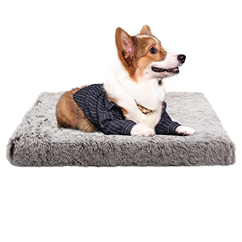 Nyescasa Hundebett für kleine große Hunde,Sofaschutz Lang Plüsch Flauschig Atmungsaktiv Katzenbett,Winter Warm Hundecouch Waschbar Abnehmbar rutschfest Hundekissen(L ca. 75x50x7cm,Leichter Kaffee) von Nyescasa