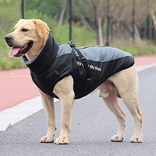 Nyescasa Hundemantel Winter Hundebekleidung Wasserdicht Hundejacke mit Geschirr, Reflektierend, Einstellbar Hunde Winterjacke 2XL für mittelgroße und große Hunde, Outdoor-Sport Winddichte Hundeweste von Nyescasa