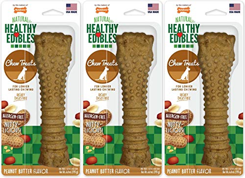Nylabone Healthy Edibles All-Natural Peanut Butter Treat For Large Dogs - 3 Pack von Nylabone