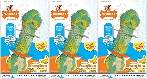 (3 Pack) Nylabone Teething Puppy Chew Peanut Butter Banana Toy Dogs & Puppies von Nylabone