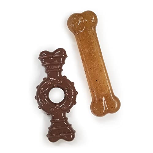 Interpet 983052 Nylabone Puppy Ring und Knochen Doppelpack, petite von Interpet