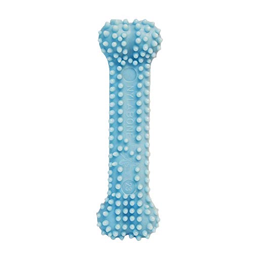 Nylabone, Kauknochen für Welpen und Zahnpflege-Spielzeug für zahnende Welpen, Wohltuender Kauknochen, für extra kleine Welpen bis 7kg, für sanft kauende/zahnende Hunde, Hähnchengeschmack, Blau von Nylabone