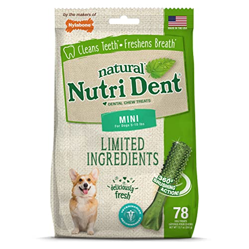 Nutri Dent Limited Zutat Dental Dog Chews - Mini Size - Filet Mignon oder Fresh Breath Aromen, 78 Ct, Frischer Atem von Nylabone