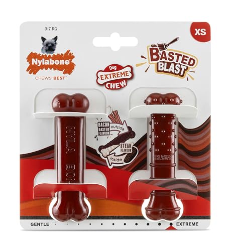 Nylabone, Basted Blast, Extrem starker Kauknochen, Hundespielzeug aus Nylon, Knochenform, Haltbarer Kauknochen, Geschmack: Speck und Steak, Extra klein, Für Hunde bis 7 kg, 2er Pack Nylabone, Basted Blast, Extrem starker Kauknochen, Hundespielzeug aus Nylon, Knochenform, Haltbarer Kauknochen, Geschmack: Speck und Steak, Extra klein, Für Hunde bis 7 kg, 2er Pack von Nylabone