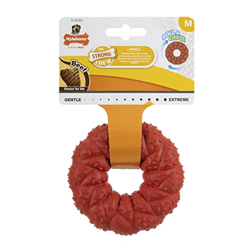 Nylabone, Naturkautschuk-Kauspielzeug für Hunde, mit Rindfleischschmack, interaktives Kauspielzeug, Jagen & Holen, für mittelgrosse Hunde von bis zu 16 Kilogramm Nylabone, Naturkautschuk-Kauspielzeug für Hunde, mit Rindfleischschmack, interaktives Kauspielzeug, Jagen & Holen, für mittelgrosse Hunde von bis zu 16 Kilogramm von Nylabone