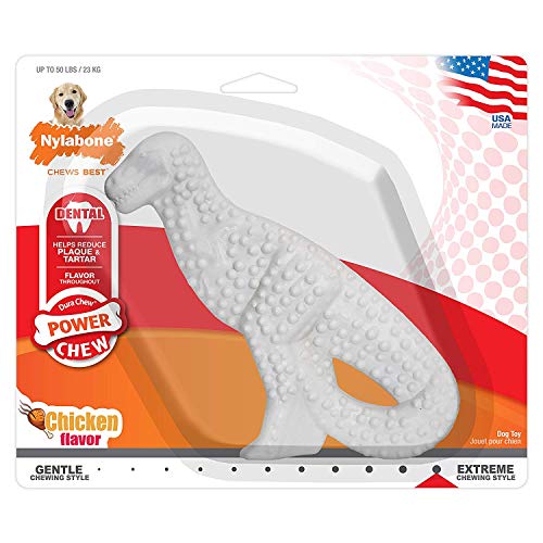 Nylabone (12 Pack) DuraChew Dental Dinosaur Chicken Flavor Nylon Toy for Dogs von Nylabone