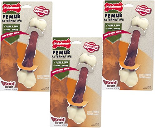 Nylabone Power Chew Femur Alternative, Beef Flavor X-Large Dog Chew Toy - 3 Pack von Nylabone