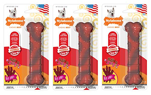 Nylabone (3 Pack) Power Chew Textured Beef Jerky Flavored Regular Size Dog Chew von Nylabone