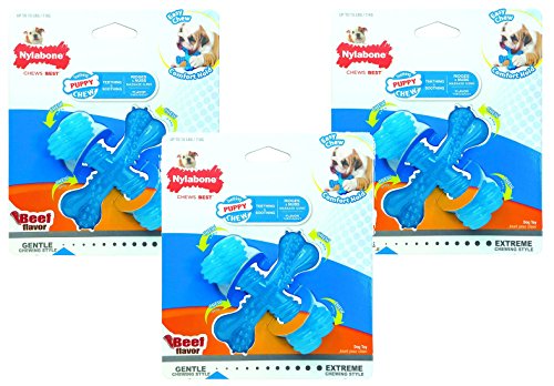 Nylabone Puppy Chew Beef Flavored X-Small X Bone for Dogs up to 15 lbs – 3er-Pack von Nylabone