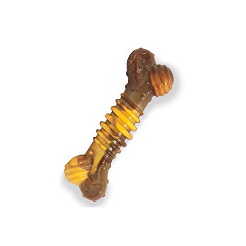 Nylabone 983433EU Geschmacksrichtung Rindfleisch und Käseknochen, klein von Nylabone