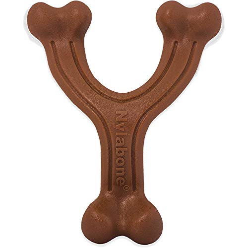 Nylabone 984718EU Gabel-Hundeknochen, Bison-Geschmack - Kauknochen für stark kauende Hunde für Hunde bis 11 kg, S von Nylabone