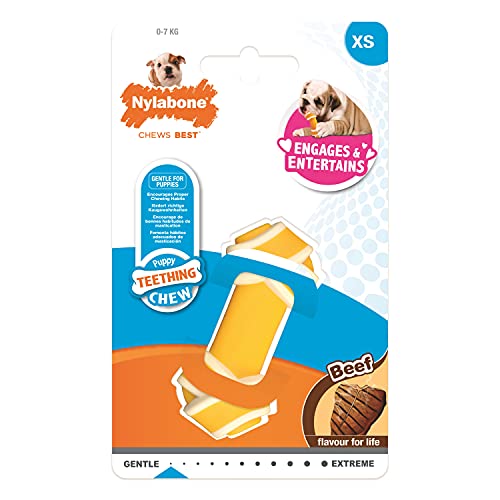 Nylabone, Kauknochen für Welpen und Zahnpflege-Spielzeug für zahnende Welpen, Wohltuender Kauknochen, für extra kleine Welpen bis 7kg, für sanft kauende/zahnende Hunde, Rindfleisch Geschmack, von Nylabone