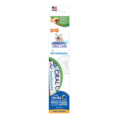 Nylabone Advanced Oral Care Natürliche Zahnpasta Erdnussbutter 70 ml (1 Stück) von Nylabone