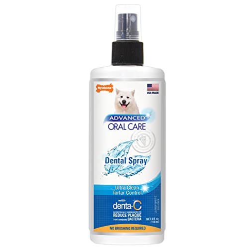 Nylabone Advanced Oral Care Dental Spray Fresh Breath 113 ml (1 Stück) von Nylabone