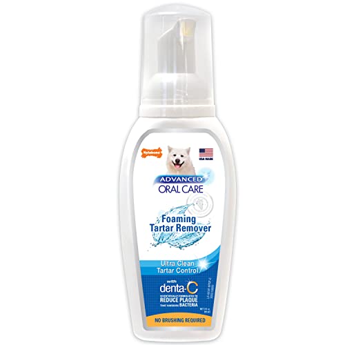 Nylabone Advanced Oral Care Schaumsteinentferner, 118 ml Nylabone Advanced Oral Care Schaumsteinentferner, 118 ml von Nylabone