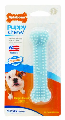 Nylabone Bone Puppy Kauspielzeug für Hunde, Petite Blue Nylabone Bone Puppy Kauspielzeug für Hunde, Petite Blue von Nylabone