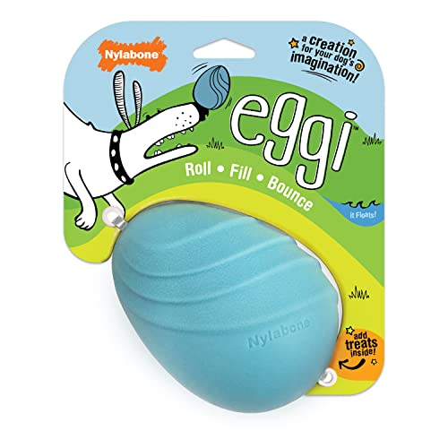 Nylabone Eggi Interaktives Hundespielzeug für kleine Hunde - Leichtes Hüpfendes schwimmfähiges Hundespielzeug für kreatives Spielen & Hundeübungen von Nylabone