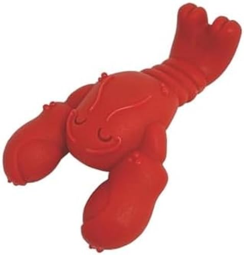 Nylabone, Extrem starker Kaueffekt, Neuartiges Hummer-Kauspielzeug, Langlebig, Kauspielzeug für die Zähne, Geschmack: Steak, Klein, Für Hunde bis zu 11 kg Nylabone, Extrem starker Kaueffekt, Neuartiges Hummer-Kauspielzeug, Langlebig, Kauspielzeug für die Zähne, Geschmack: Steak, Klein, Für Hunde bis zu 11 kg von Nylabone