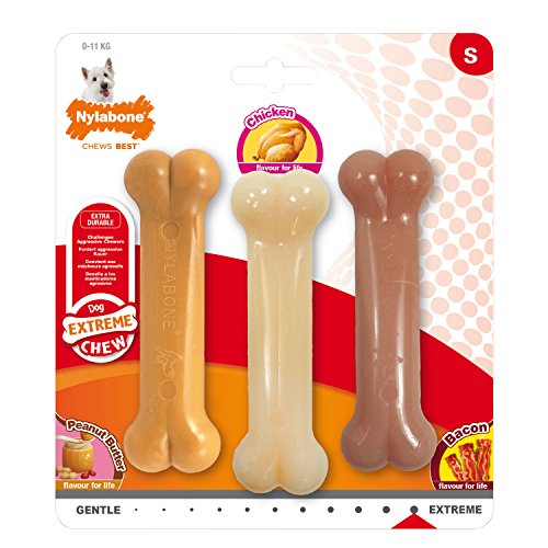 Nylabone Extreme Value Pack Hund kauen, 3 Stück (1er Pack) von Nylabone