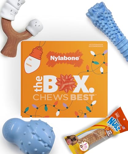 Nylabone Holiday Dog Geschenkbox für große Hunde, inklusive 3 starken Kauspielzeugen und 1 Hundeleckerlis, Geschenke für Hunde, groß/riesig (4 Stück) von Nylabone
