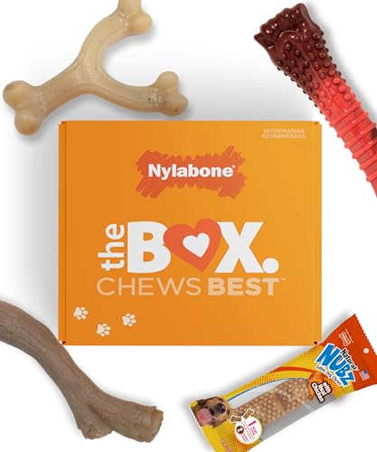 Nylabone Hunde-Geschenkbox für große Hunde – 3 Starke Kauspielzeuge und 1 Hundeleckerli – Geschmacksvielfalt, groß/riesig (4 Stück) von Nylabone