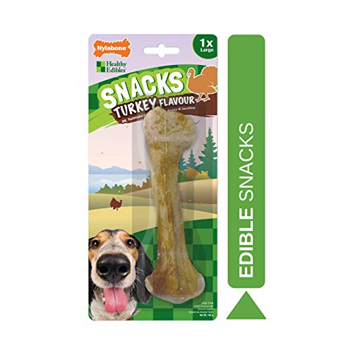 Nylabone Hundesnacks - Truthahngeschmack - 1 großer Kauknochen von Nylabone