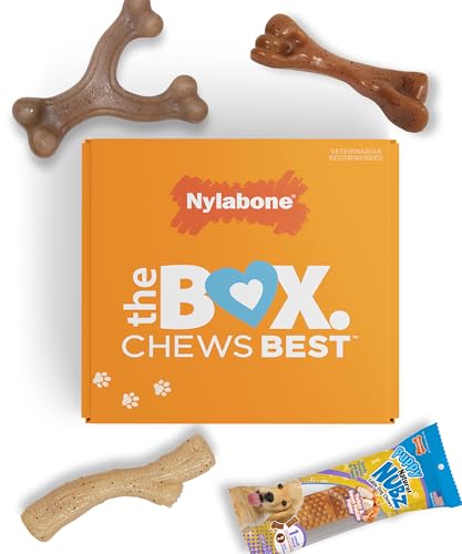 Nylabone Hundespielzeug-Geschenkbox, enthält 3 Starke Kauspielzeuge und 1 Hundeleckerli, Kauspielzeug für Welpen, klein/normal (4 Stück) von Nylabone