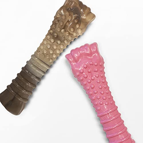 Nylabone Hundespielzeug-Set mit Huhn-Motiv für Aggressive Kauer, Pink und Camouflage, Größe XL, 2 Stück Nylabone Hundespielzeug-Set mit Huhn-Motiv für Aggressive Kauer, Pink und Camouflage, Größe XL, 2 Stück von Nylabone