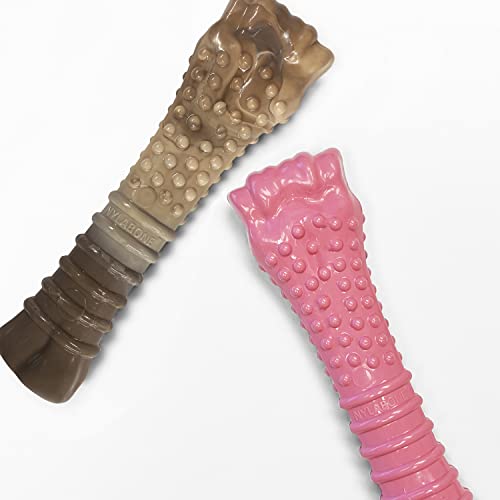 Nylabone Hundespielzeug-Set mit Huhn-Motiv für Aggressive Kauer, Pink und Camouflage, Größe XL, 2 Stück von Nylabone