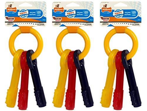 Nylabone (3 Pack) Puppy Teething Keys Large Bacon Chew Toy for Dogs von Nylabone