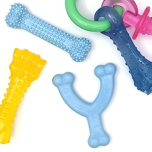 Nylabone Kauspielzeug-Set für Welpen, Huhn und Speck, Größe XS/Petite, Blau, 4 Stück Nylabone Kauspielzeug-Set für Welpen, Huhn und Speck, Größe XS/Petite, Blau, 4 Stück von Nylabone