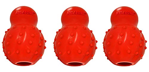 Nylabone Kauspielzeug für Hunde, mit Noppen, mittelgroß, 3 Stück Nylabone Kauspielzeug für Hunde, mit Noppen, mittelgroß, 3 Stück von Nylabone