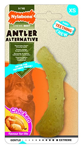 Nylabone Kauspielzeug für Welpen Antler Kauspielzeug für Hunde Nylabone Kauspielzeug für Welpen Antler Kauspielzeug für Hunde von Nylabone