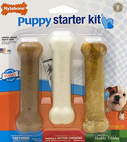 Nylabone Kauspielzeug für Welpen Starter Kit, 3 Stück (1er Pack) Nylabone Kauspielzeug für Welpen Starter Kit, 3 Stück (1er Pack) von Nylabone