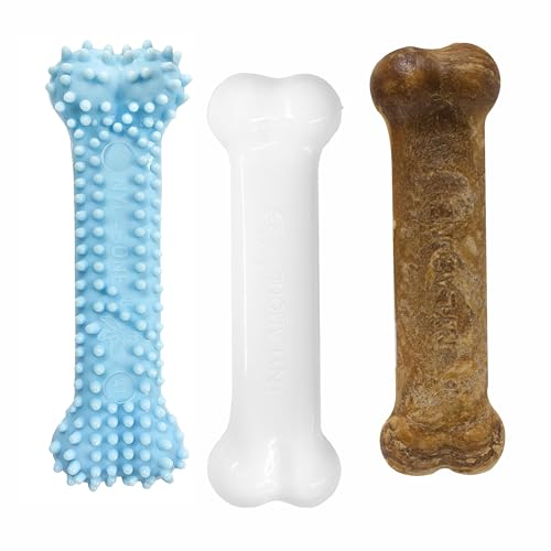 Nylabone Kauspielzeug für Welpen Starter Packungen Puppy Chew Spielzeug Nylabone Kauspielzeug für Welpen Starter Packungen Puppy Chew Spielzeug von Nylabone