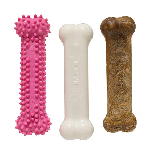 Nylabone Kauspielzeug für Welpen Starter Packungen Puppy Chew Spielzeug Nylabone Kauspielzeug für Welpen Starter Packungen Puppy Chew Spielzeug von Nylabone