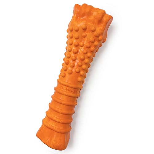 Nylabone Limited Edition 70. Geburtstag, strukturierter Knöchelknochen, Gummi, Starkes Kauspielzeug für Hunde, langlebiges Hundespielzeug für Aggressive Kauer, Speck- und Käsegeschmack, Größe XL, 1 Nylabone Limited Edition 70. Geburtstag, strukturierter Knöchelknochen, Gummi, Starkes Kauspielzeug für Hunde, langlebiges Hundespielzeug für Aggressive Kauer, Speck- und Käsegeschmack, Größe XL, 1 von Nylabone