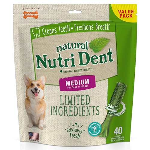 Nylabone Nutri Dent Limited Zutat Dental Dog Chews - Medium Size - Filet Mignon oder Fresh Breath Aromen, 40 Ct, Fresh Breath von Nylabone