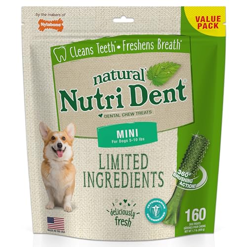 Nylabone Nutri Dent Limited Zutat Dental Dog Chews - Mini Size - Filet Mignon oder Fresh Breath Aromen, 160 Ct, Fresh Breath von Nylabone