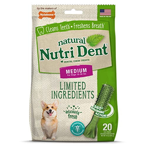 Nylabone Nutri Dent Natural Dental Fresh Breath Kau-Leckerlis, mittelgroß, 20 Stück Nylabone Nutri Dent Natural Dental Fresh Breath Kau-Leckerlis, mittelgroß, 20 Stück von Nylabone