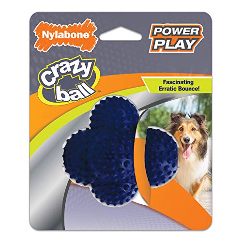 Nylabone Power Spielball für Hunde, Crazy Ball, groß, 1 Stück von Nylabone